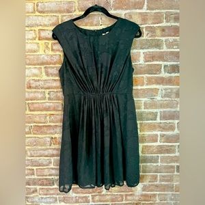 Cute little black dress.